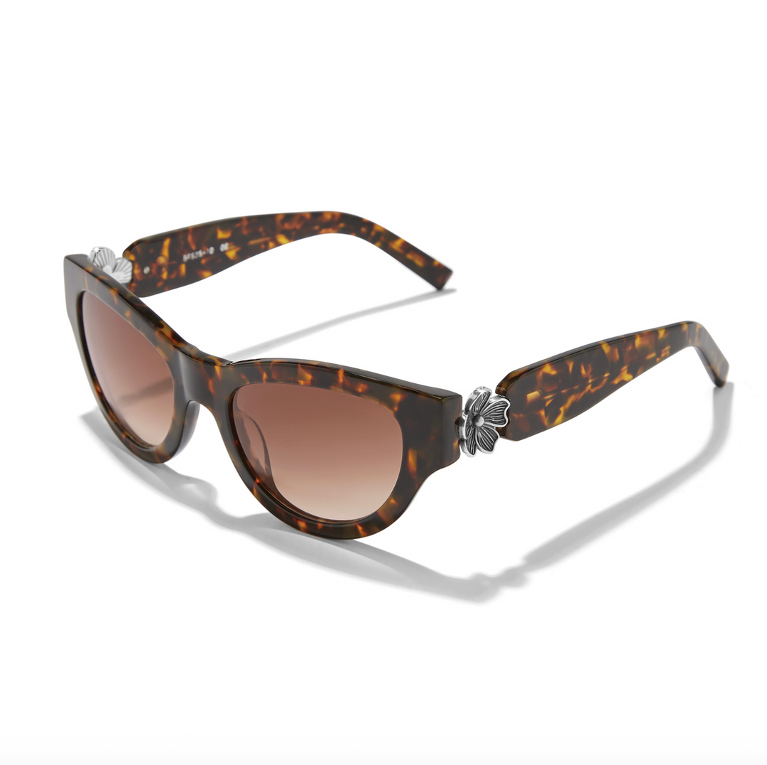 Brighton Eyewear – Nini display picture 3